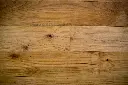 _DSC3253.webp