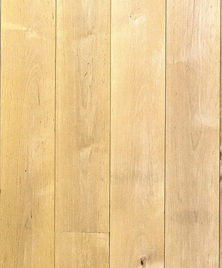 8X0A4745.2.webp