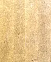 8X0A4745.2.webp