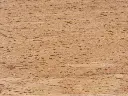 8X0A4769.webp