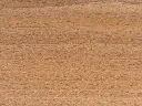 8X0A4773.webp
