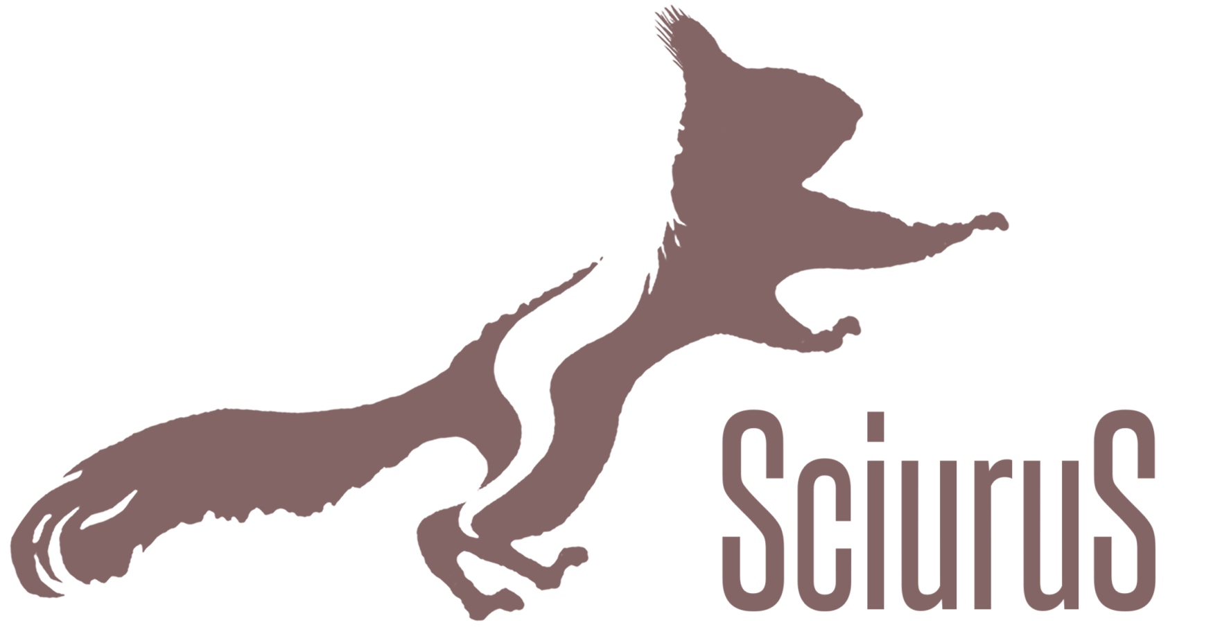 SciuruS - SILVAE